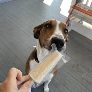 Pup pop! Frozen banana and peanut butter on a small rawhide stick! It was perfect.