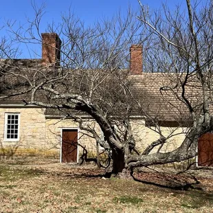 Old smokehouse and kitchen