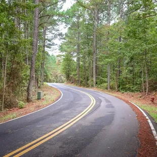 Park road leading to the lodge.