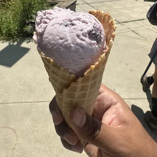 Huckleberry Cone