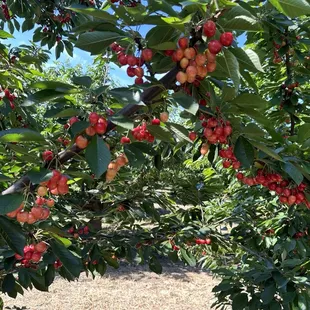 There is a secret here