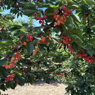 There is a secret here