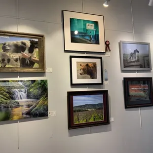 Lodi Community Art Center