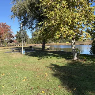 The edge of the picnic area looking over some of Lodi Lake.