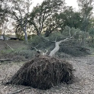 The wrath of this winters storms