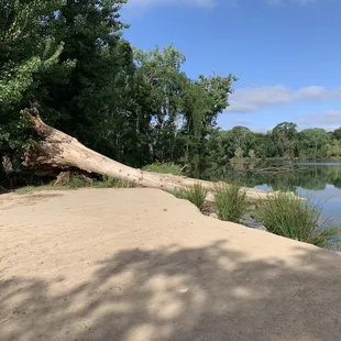 Beautiful every step