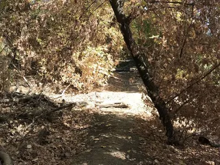 Woodbridge Wilderness Area