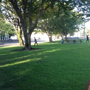 Area outside of ball field