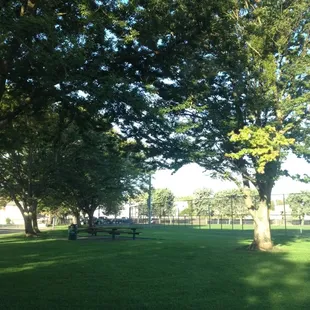 Park area outside of ball fields