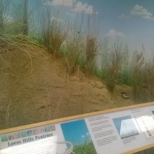 Display of Loess formations.