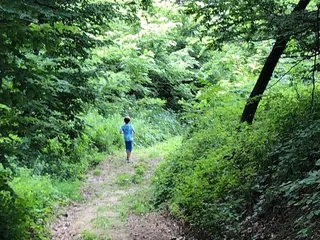 The Spot : Preparation Canyon Overlook