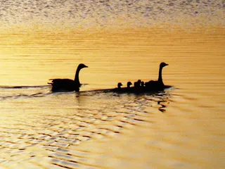 Summit Lake State Recreation Area