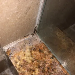 Is that mold