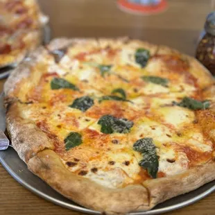 Margherita Pizza
