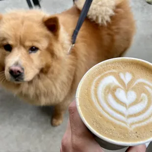 Locals &amp; Salted Caramel Lattes