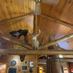 a man standing in front of a stuffed animal
