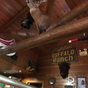 Living room decorations