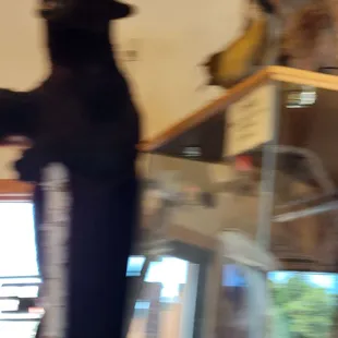 blurry image of a man in a black jacket and hat