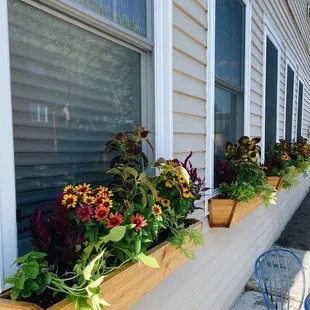 a row of flower boxes