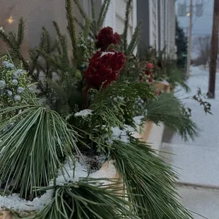 a window box filled with christmas greenery