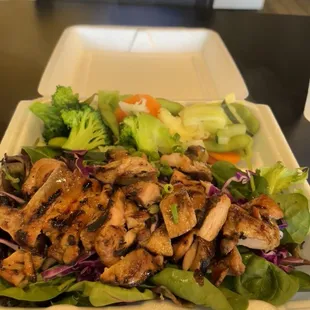 Grilled chicken teriyaki