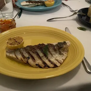 Lavraki / Branzino
