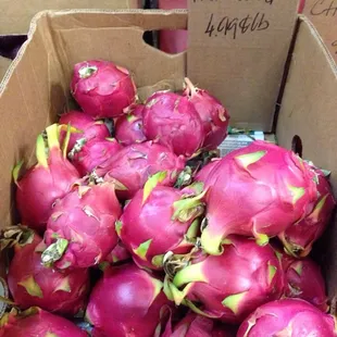 dragon fruit