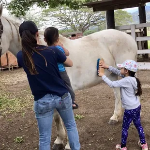 Noah and Leilani brushing Hoku!