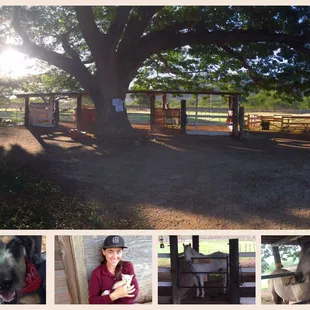 Wonderful location for horseback riding lessons! Check it out!