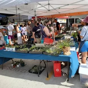 people shopping for plants