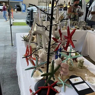 a display of starfishs