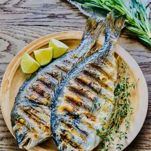 Grilled Dorado