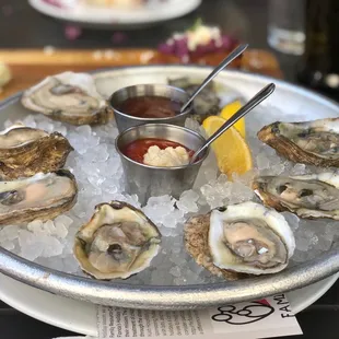 Oysters