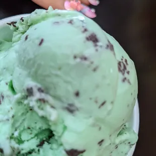 Mint chocolate chip ice cream