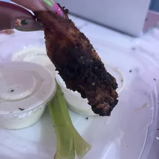 Close up of burnt wing (2nd batch)