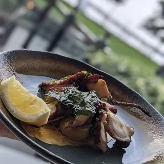 Grilled Octopus