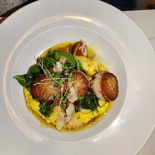 Scallops