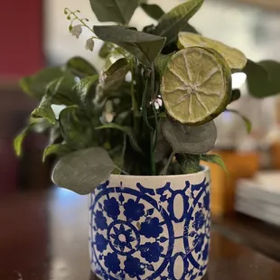a plant in a blue and white pot