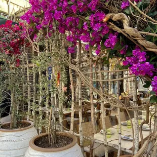 beautiful dining space