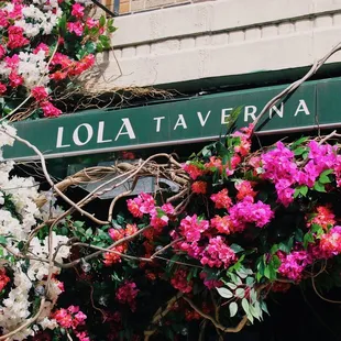 Lola Taverna Beautiful Front Sign