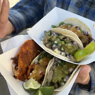 a person holding a plate of tacos