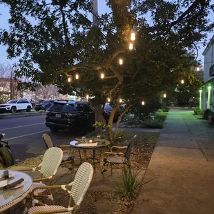 love the lights in the trees