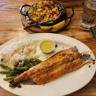 Ruby Red Rainbow Trout