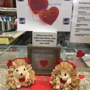Cute hedgehogs