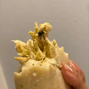 Chicken in Green Sauce Tamale. So gross. No mamen
