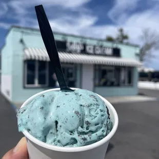 Regular size - 2 scoops Cookie Monster and mint chip on the bottom