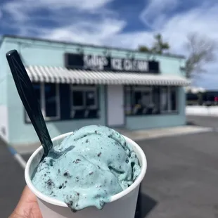2 scoops : Cookie Monster &amp; mint chip regular size