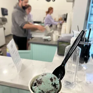 Cookie Monster Ice Cream (Mini cup)