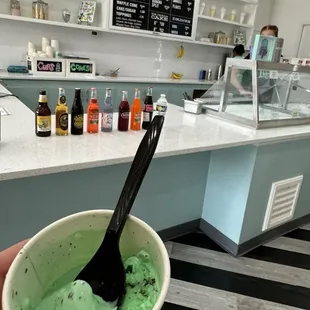 Mint Chip