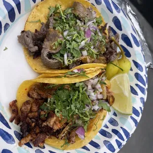 Asada and pastor taco